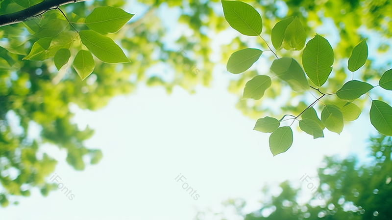 清新绿色树叶背景素材,高清,摄影图,摄影图片,图片大全,摄影图免费下载